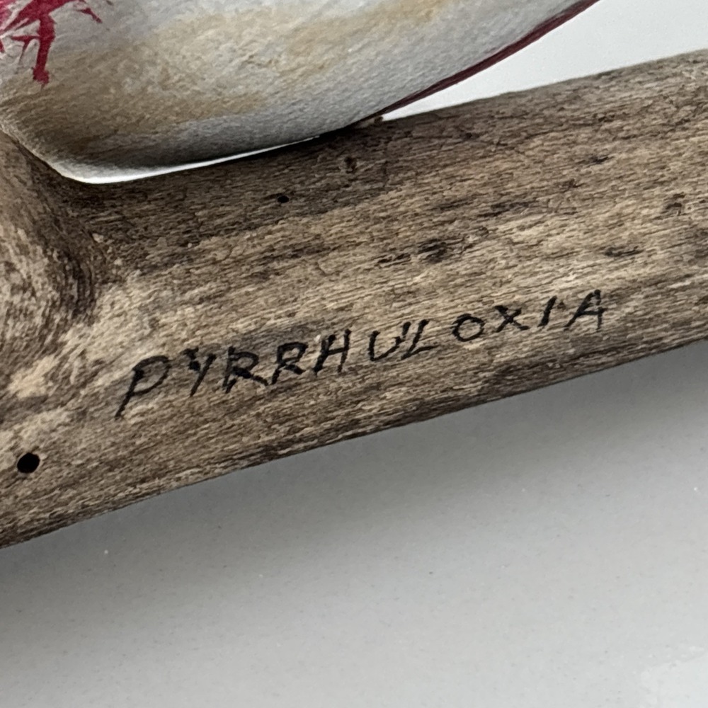 Vintage Hand Carved Wood Desert Cardinal Bird Signed RE Mumford ~ Purdue - Picture 10 of 16